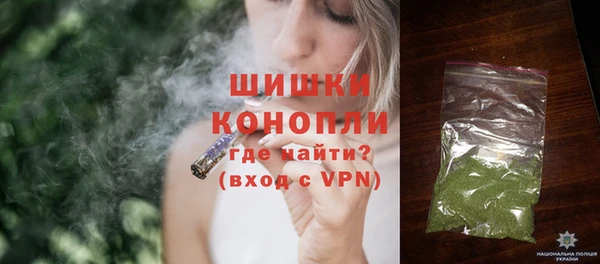 крисы Мегион