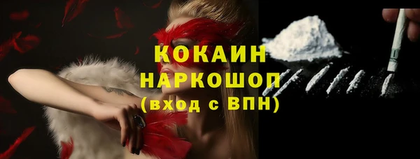 крисы Мегион
