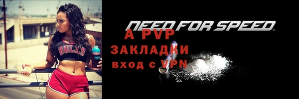 крисы Мегион