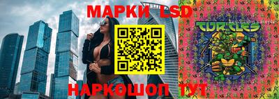 СК Ливны