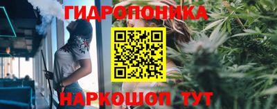 СК Ливны
